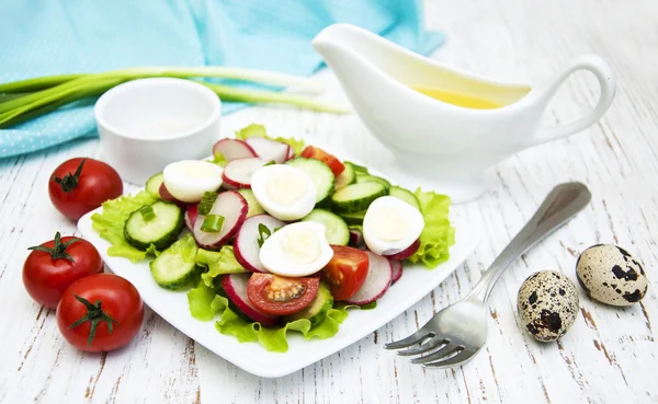 Salade de printemps aux tomates, concombres et radis — Photo