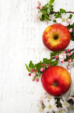 elma ve elma ağacı çiçekleri