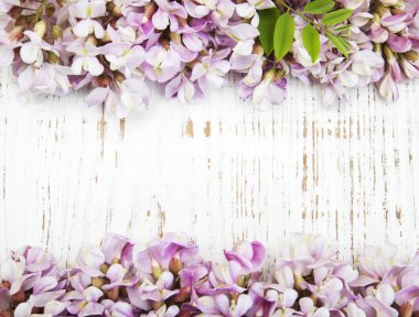 Akasya ile çiçek sınır