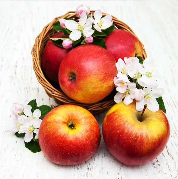 Apples and apple tree blossoms — Stock Photo, Image