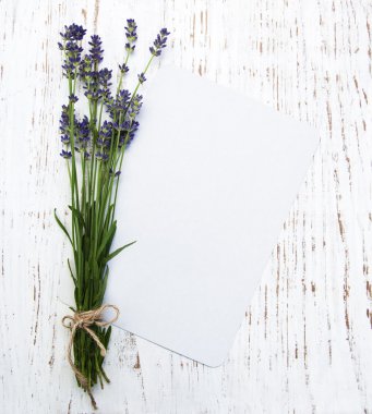Lavender with card