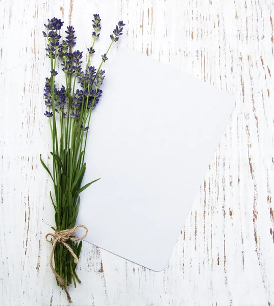 Lavender with card — Stok fotoğraf