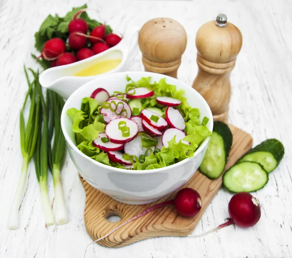 Voorjaar salade met komkommer en radijs — Stockfoto