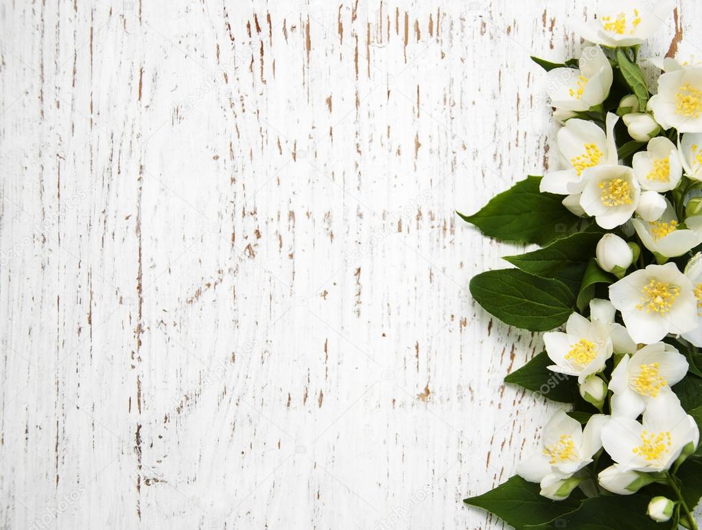 Jasmine Flower Border