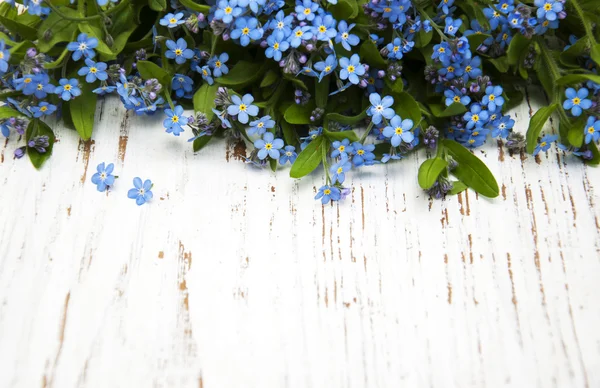 Olvídame de las flores. — Foto de Stock