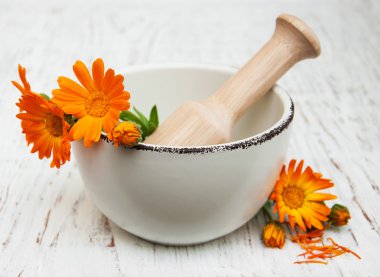 harç calendula officinalis çiçek