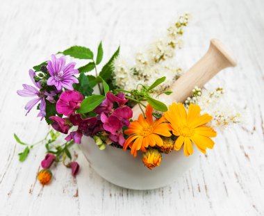 yabani çiçek ve bitki yaprak harç içinde