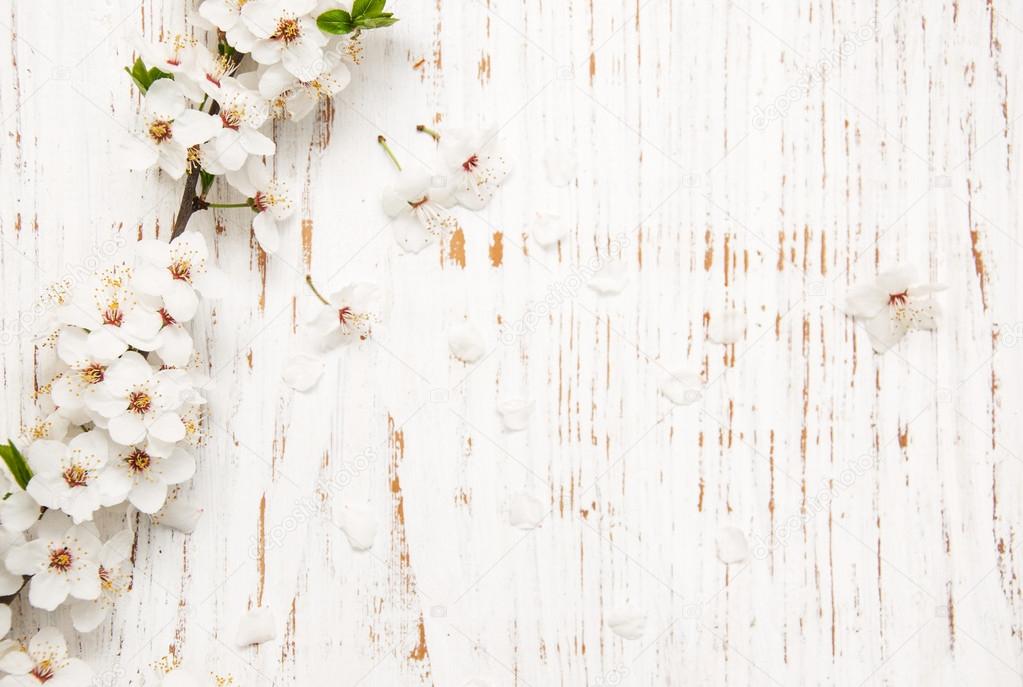 spring blossom on wood background