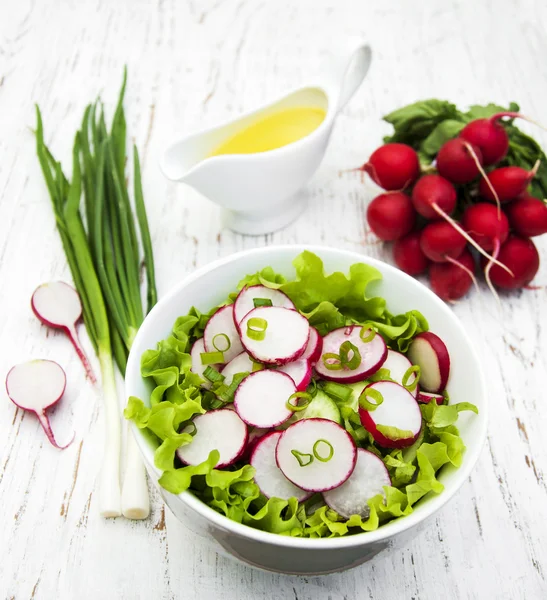 Salade de printemps aux concombres et radis — Photo