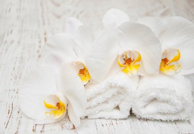 Beyaz Orkide ve havlu