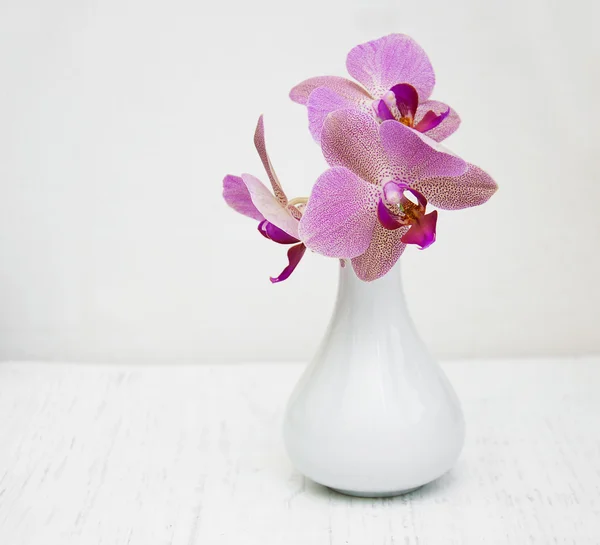 Orquídeas cor-de-rosa num vaso — Fotografia de Stock