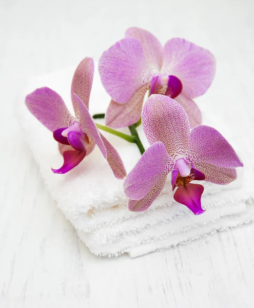 Orchidées roses et serviettes — Photo