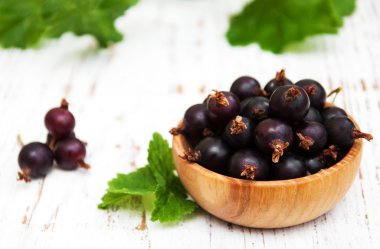 Siyah frenk üzümü