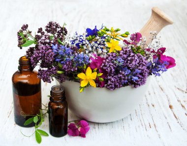 yabani çiçek ve bitki yaprak harç içinde