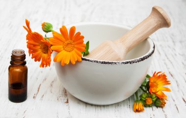 harç calendula officinalis çiçek