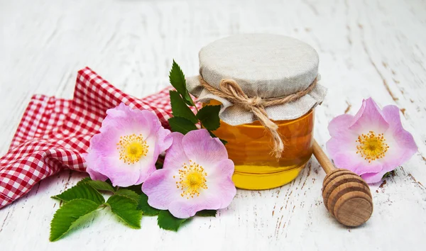 Honung och nypon blommor — Stockfoto