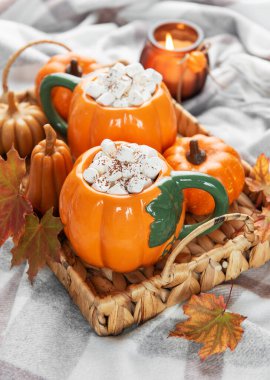 Kakaolu sonbahar kompozisyonu, dekoratif balkabakları ve kareli battaniyeye dökülen yapraklar.