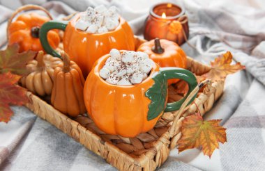 Kakaolu sonbahar kompozisyonu, dekoratif balkabakları ve kareli battaniyeye dökülen yapraklar.