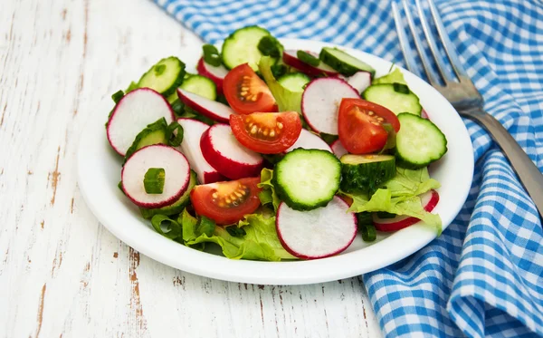 Salade de printemps aux tomates, concombres et radis — Photo