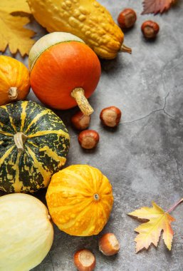 Balkabağı, kabak, fındık ve sonbahar yaprağı şenlikli, durgun bir mevsim yaratıyor.