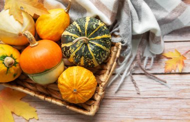 Küçük balkabakları ve kabakları rahat bir battaniye ve dökülen yapraklarla bir sepetin içinde.