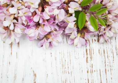 Akasya ile çiçek sınır