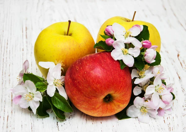 Manzanas y flores de manzanos — Foto de Stock