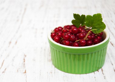 taze kırmızı kuş üzümü