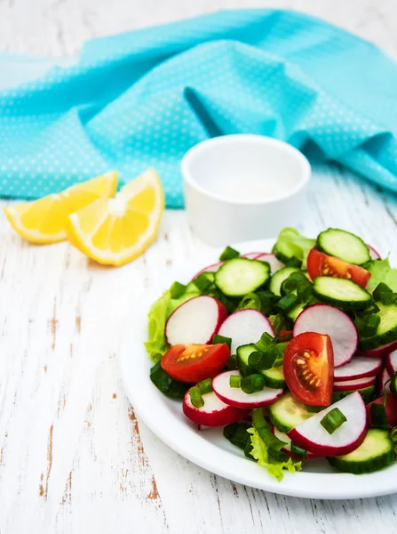 Voorjaar salade met tomaat, komkommer en radijs — Stockfoto