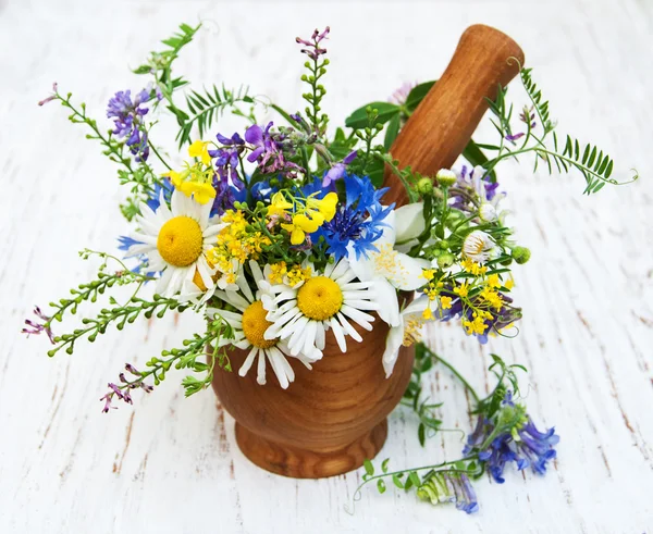 Wildflowers with mortar and pestle Stock Picture