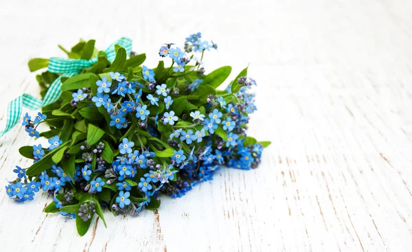 Forget-me-nots flowers — Stock Photo, Image