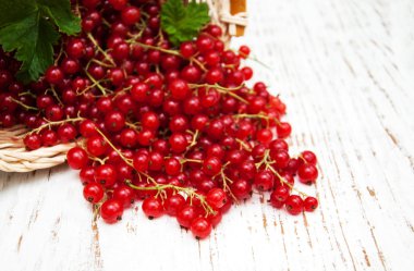 taze kırmızı kuş üzümü