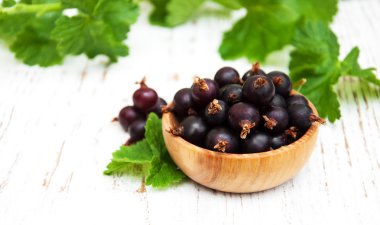 kabın içinde Siyah frenk üzümü