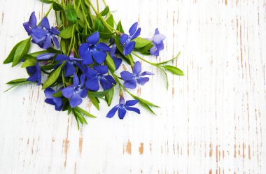 Perwinkle ahşap bir masa üzerinde