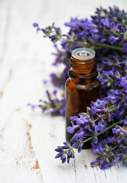 Lavender oil, spa — Stock Photo, Image