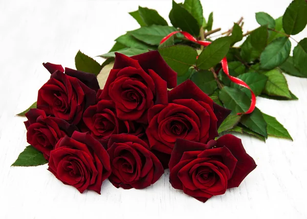 Fresh Red roses — Stock Photo, Image