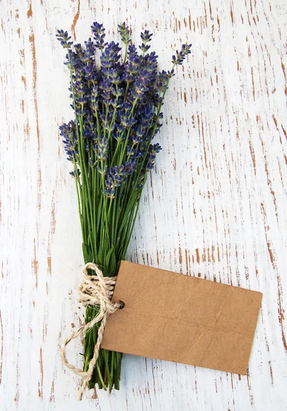 Lavender flowers with tag — Stock Photo, Image