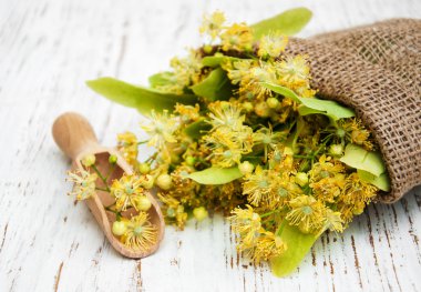 ıhlamur çiçek tuval çanta