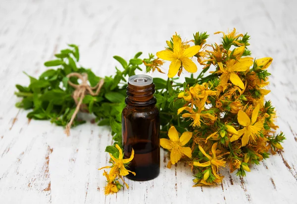 Tutsan flowers  and natural oil — Stock Photo, Image