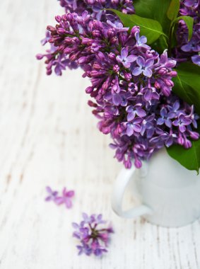 Bahar leylak çiçekleri