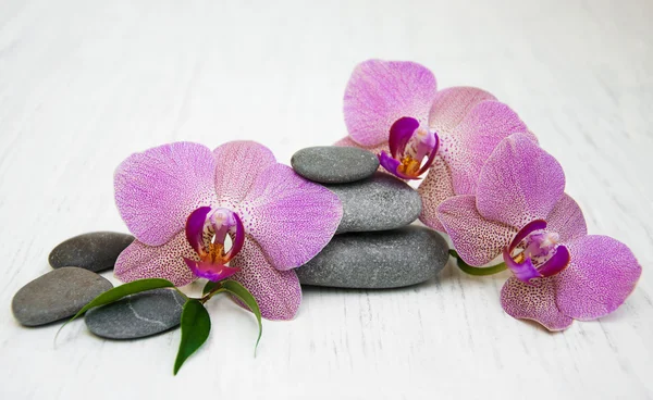 Orchidee e pietre per massaggi — Foto Stock