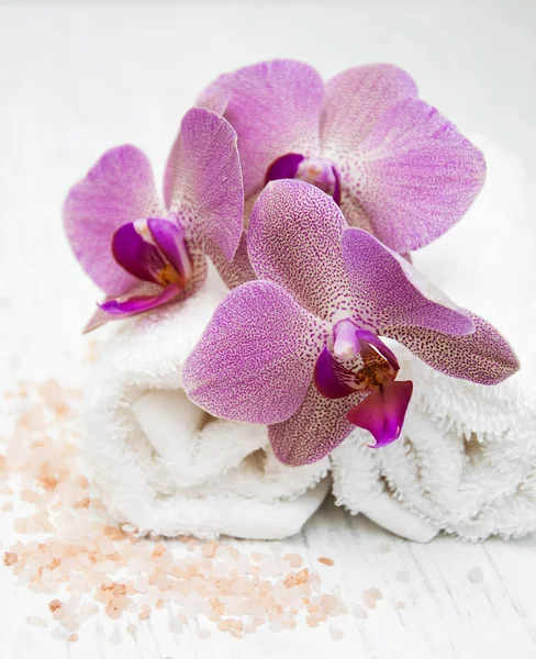 Sale marino e orchidee — Foto Stock