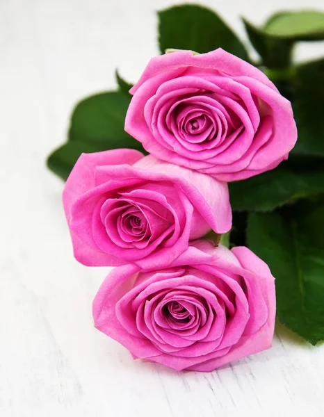 3 つのピンクのバラ — ストック写真