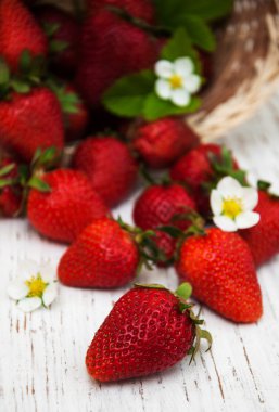 Yaz çilek çiçekler