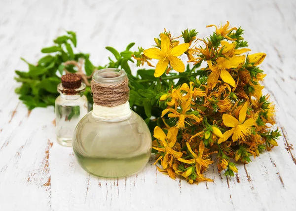 Třezalka květiny a přírodní olej — Stock fotografie