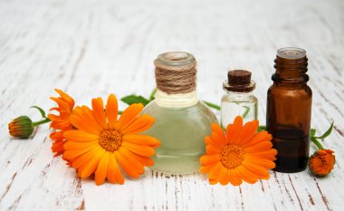 çiçek calendula officinalis ve yağlar