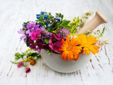 yabani çiçek ve bitki yaprak harç içinde