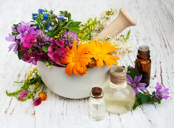 Vild blomst og urteblad i mørtel - Stock-foto