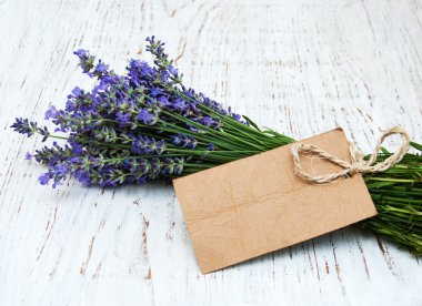 Lavanta çiçekleri etiketi ile