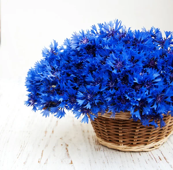 Blue summer cornflowers — Stock Photo, Image